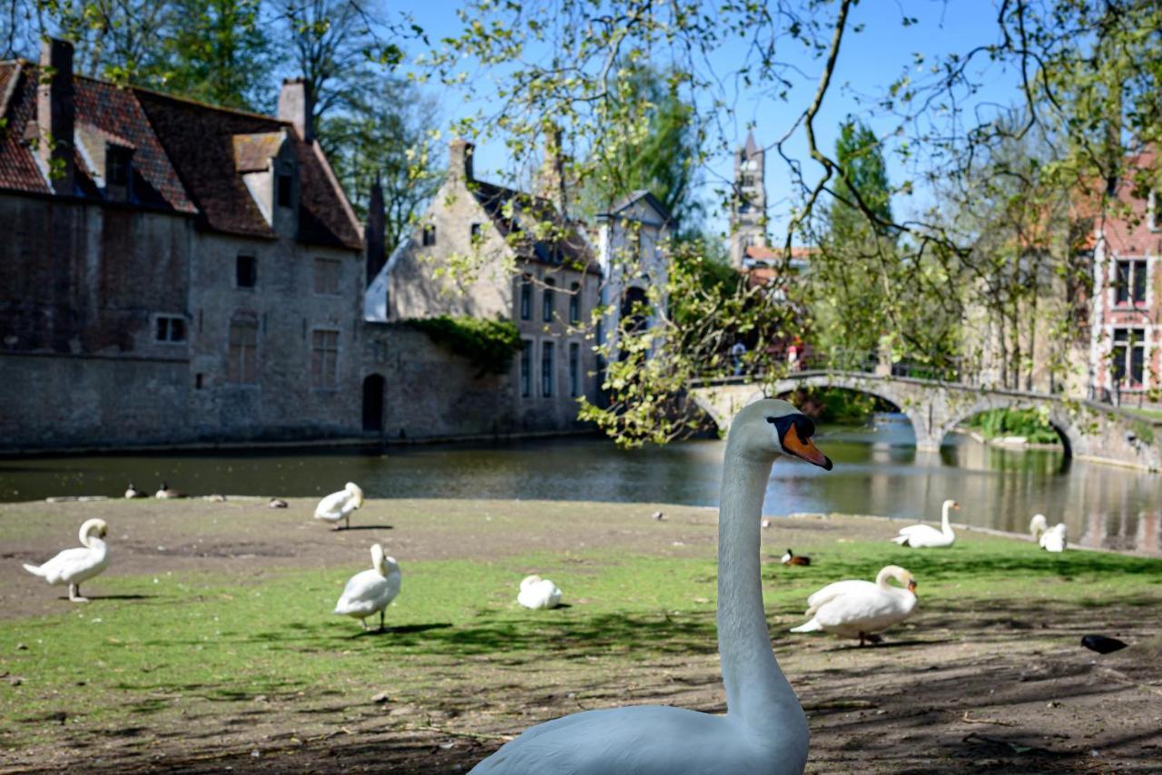 Haven 7 Bed & Breakfast Brugge Bagian luar foto