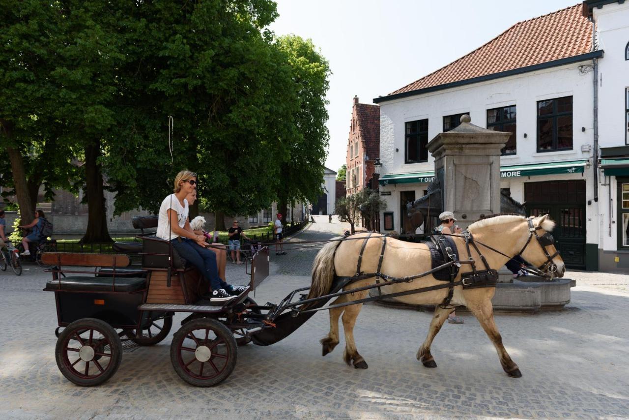 Haven 7 Bed & Breakfast Brugge Bagian luar foto